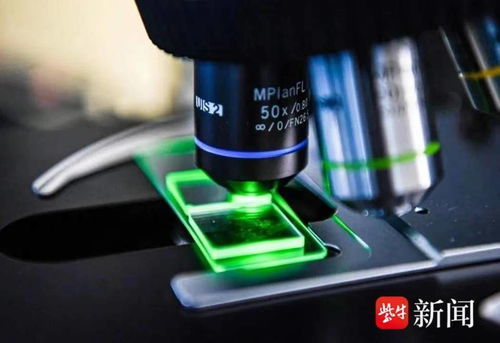 國內(nèi)首條光子芯片中試線無錫啟用，軟硬件協(xié)同引領(lǐng)計(jì)算技術(shù)新紀(jì)元